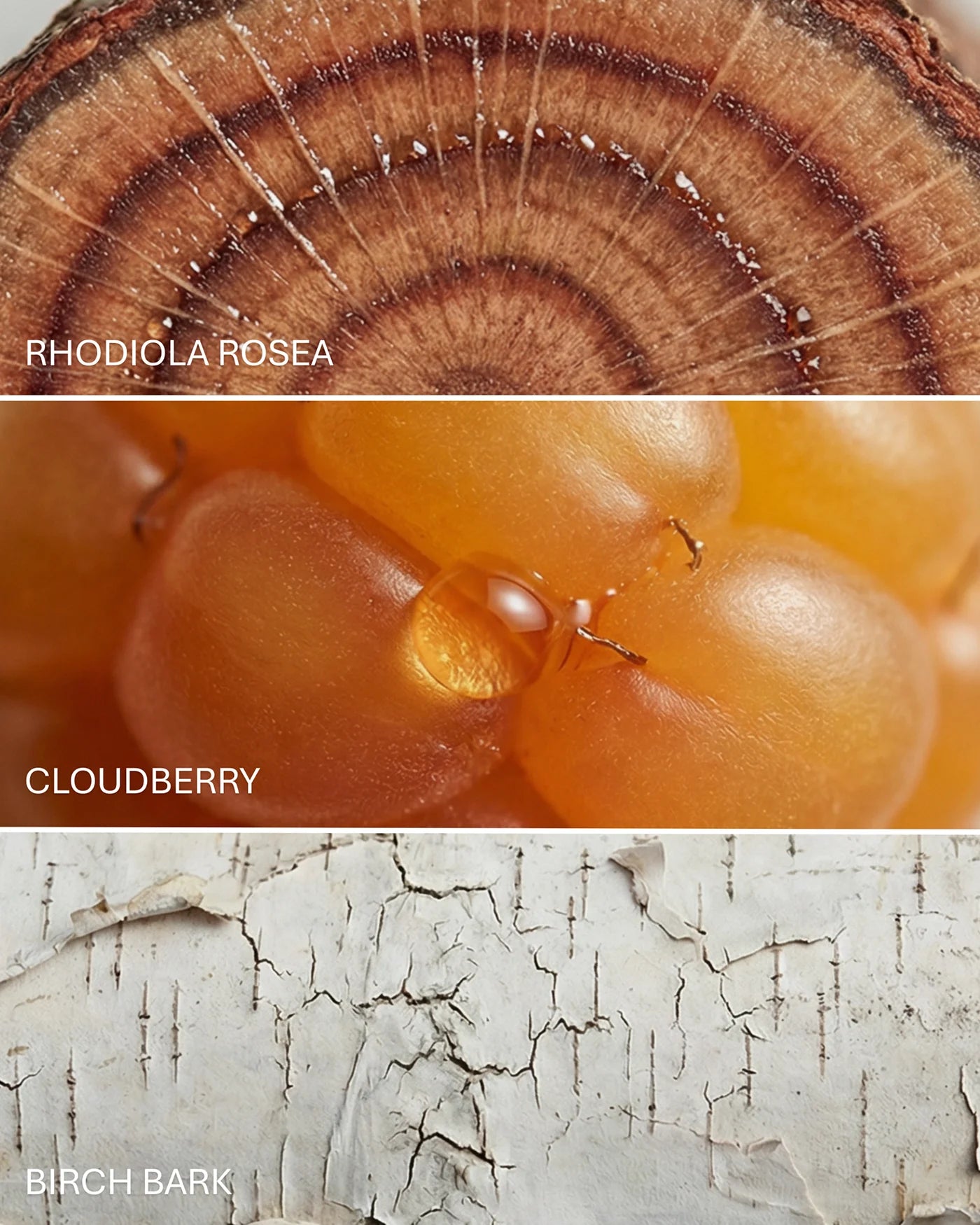 Thickening Shampoo & Conditioner